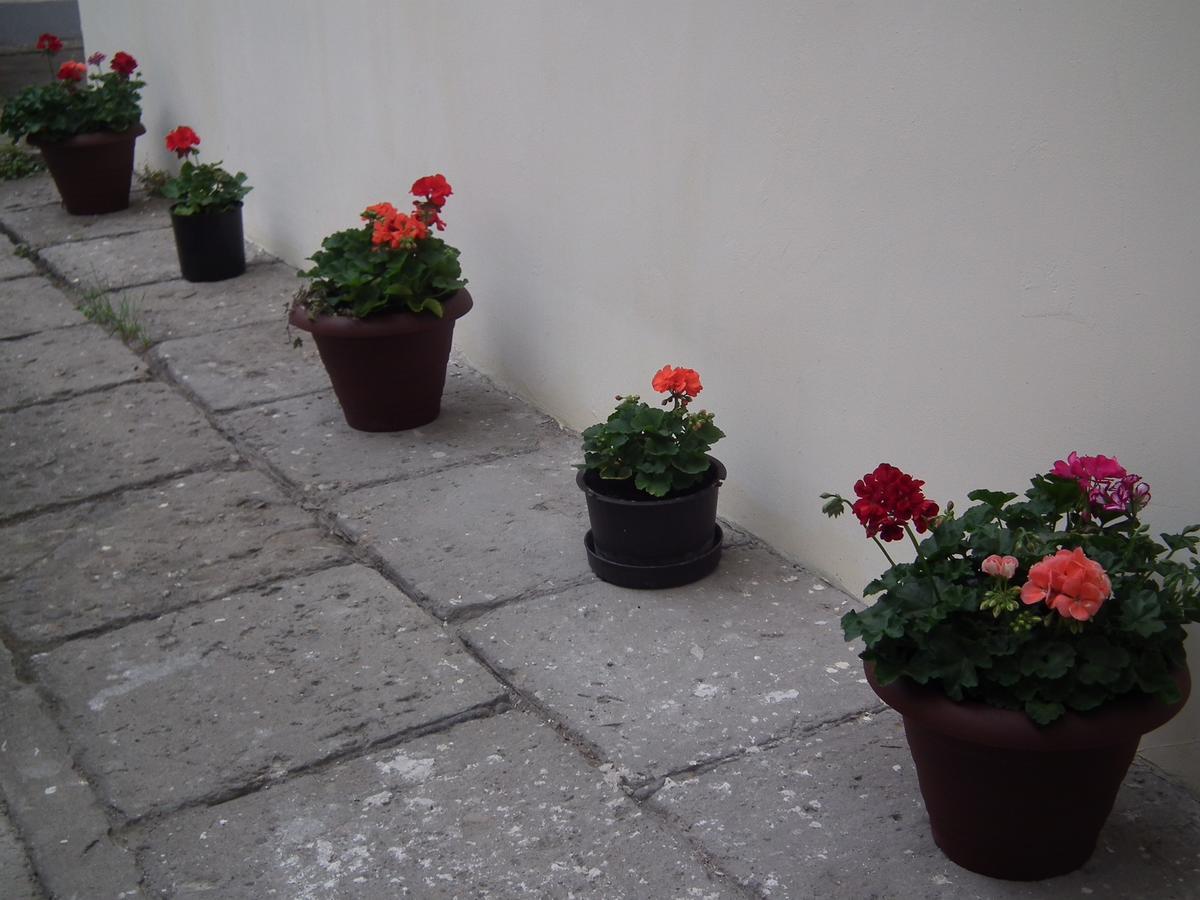 Apartament Bbb48 Cluj-Napoca Luaran gambar