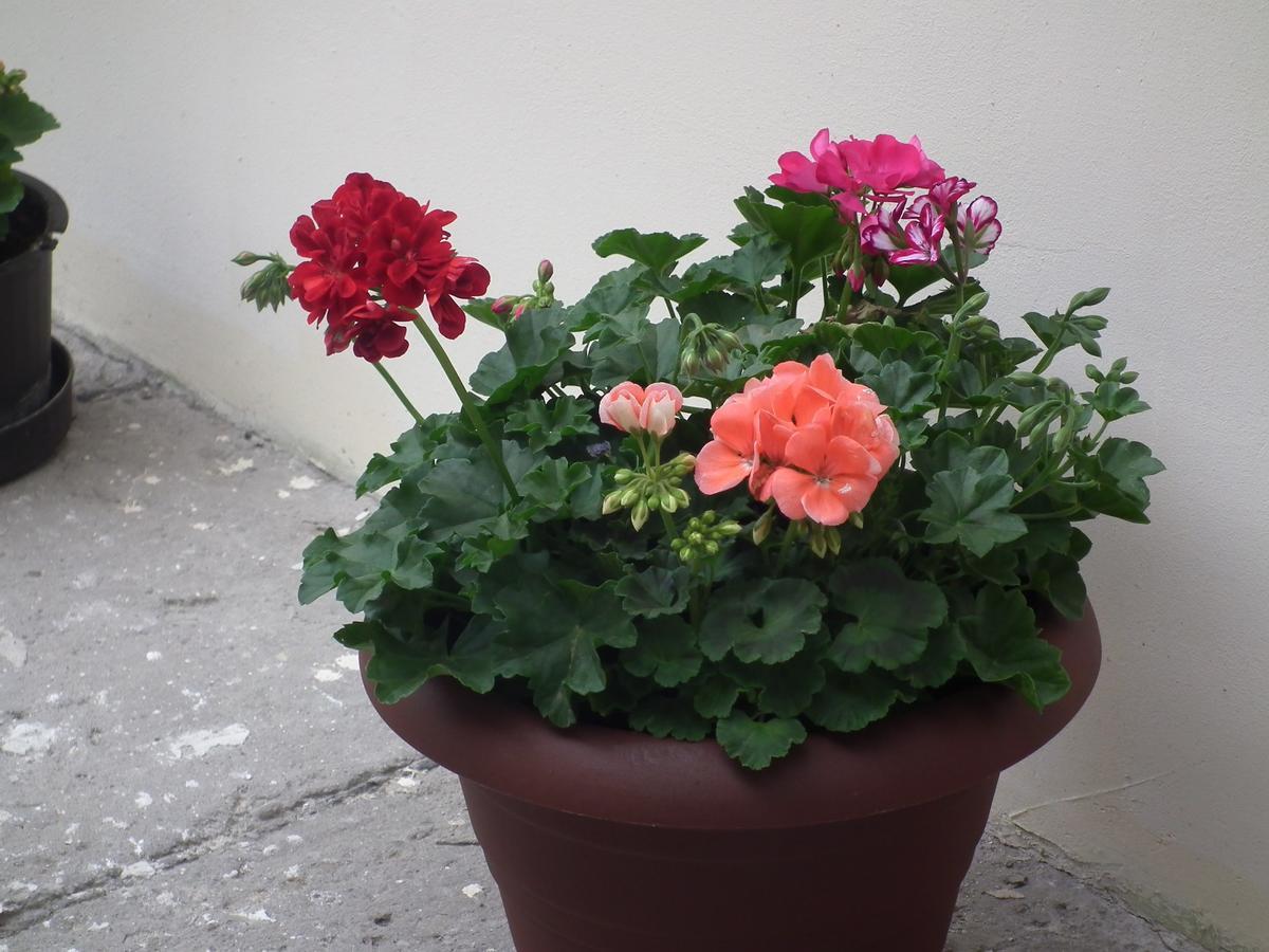 Apartament Bbb48 Cluj-Napoca Luaran gambar